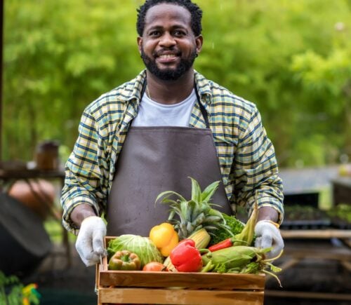 Farmer holding wooden box full of fresh vegetables