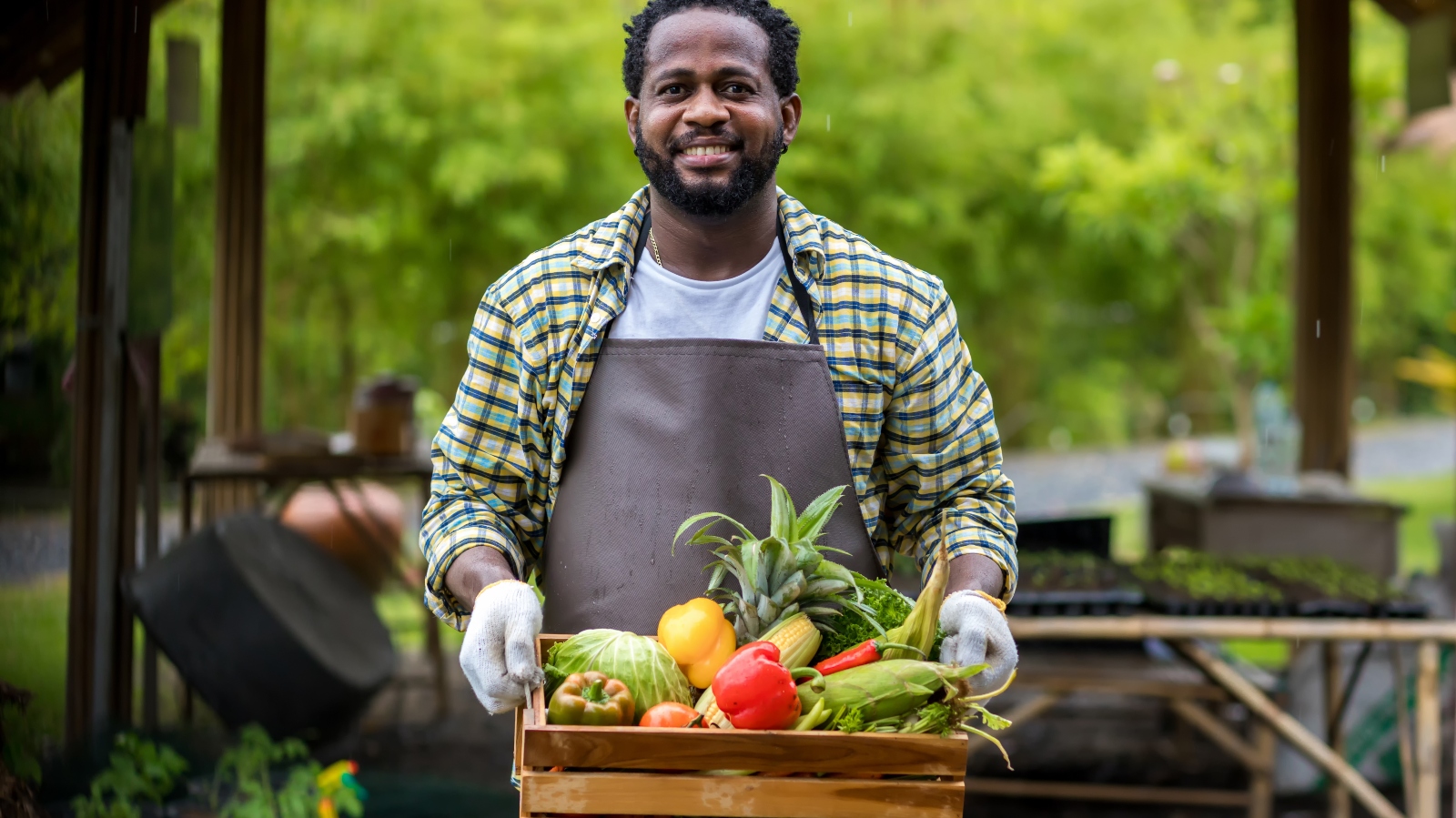 Farmer holding wooden box full of fresh vegetables