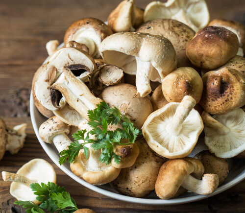 Mushrooms: Vitamin-D, Nutrition, And How To Cook Them