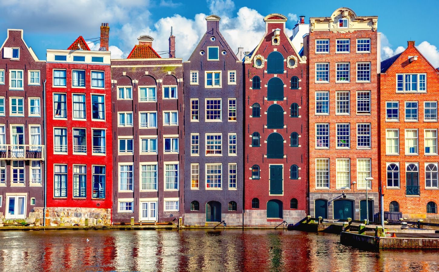 Houses in Amsterdam, which has endorsed the Plant Based Treaty