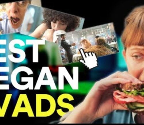 A graphic reading the "best vegan TV ads"