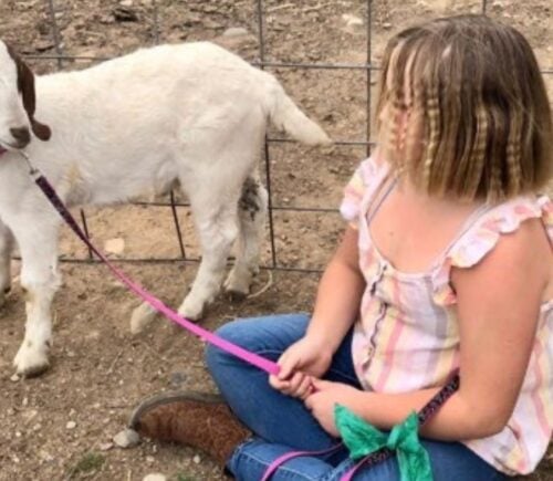 Cedar the goat and his owner