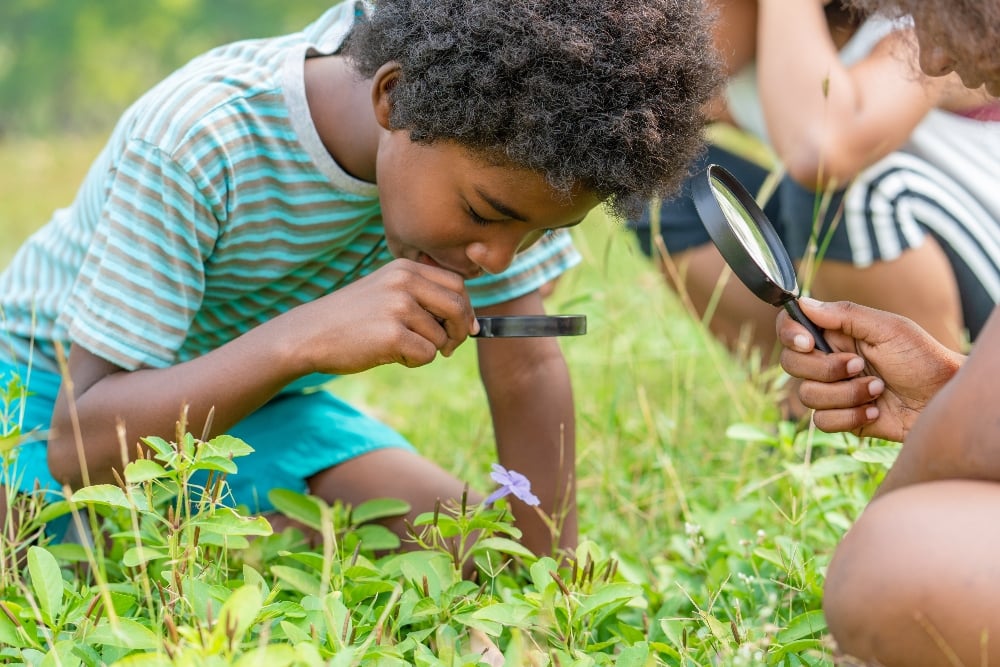 Children with magnifying glasses inspect the grass outside