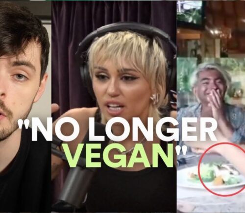 A thumbnail saying "no longer vegan" with photos of Cosmic Skeptic, Mley Cyrus, and Yovana Mendoza Ayres