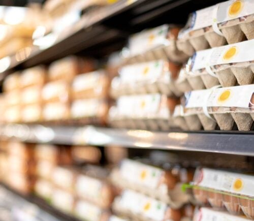 A supermarket shelf full of eggs