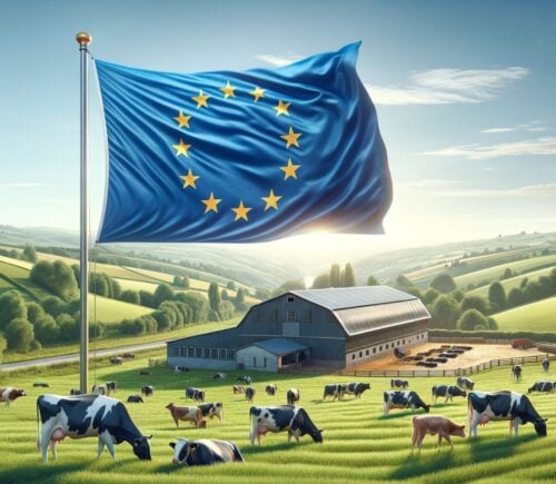 EU flag above a field of cows, as scientists warn that funding for animal agriculture is too high