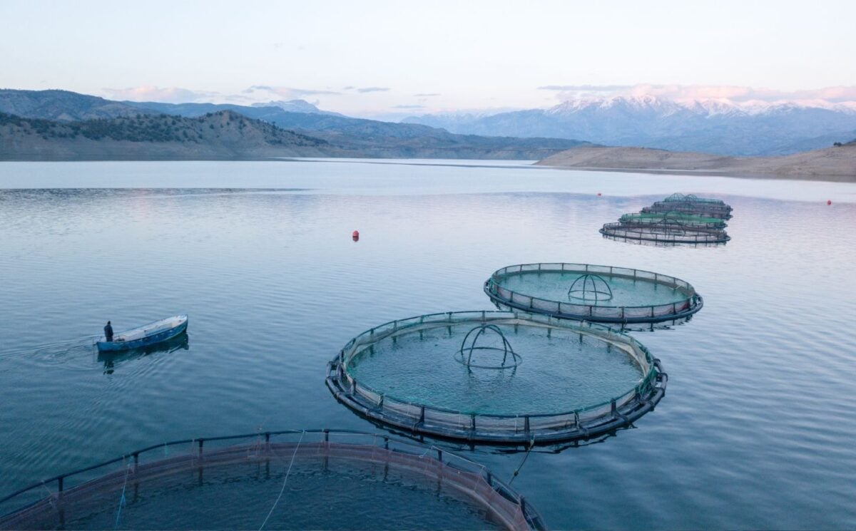 A selection of barren circular tanks at fish farms (aquaculture) in Scotland. Fish farming is often deemed to be cruel and unsustainable