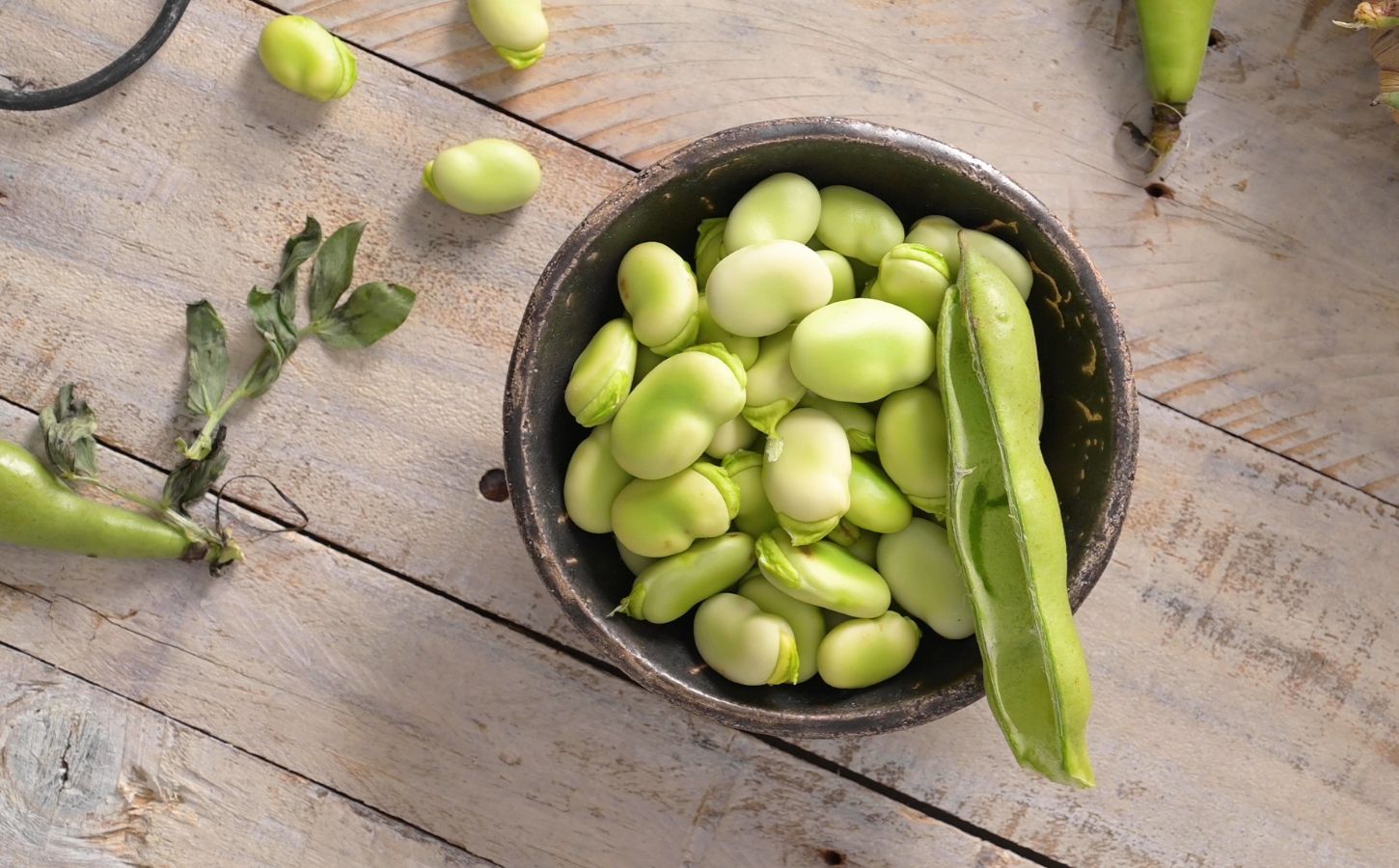 A cup of faba beans, which have been shown to be a good protein source and be good for bone health