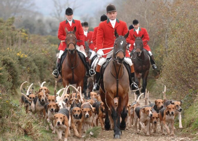 A fox hunt with hounds, which Labour has promised to ban