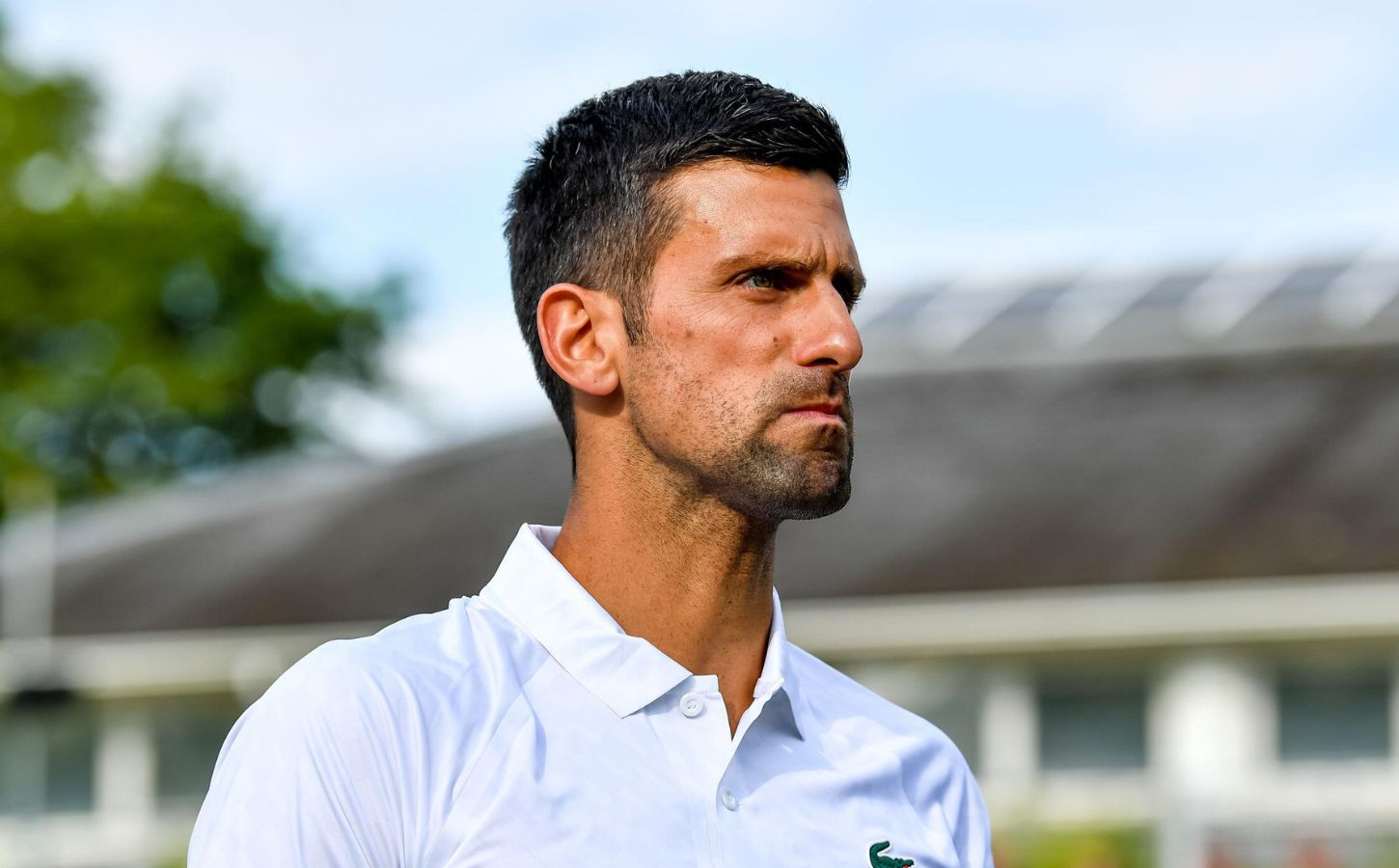 Plant-based tennis player Novak Djokovic