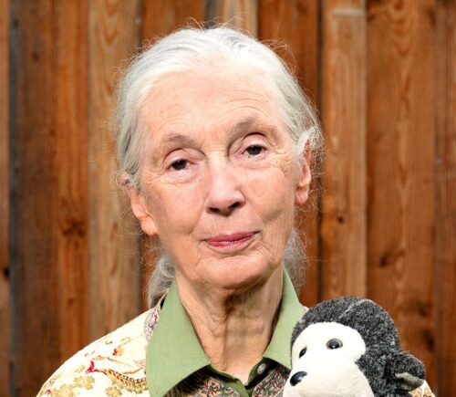 Leading conservationist Jane Goodall