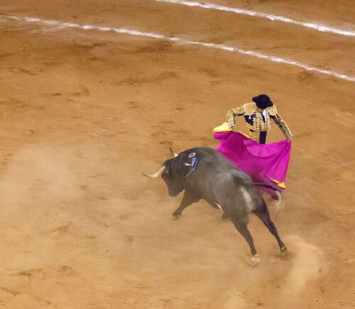 Bullfighting in Mexico City