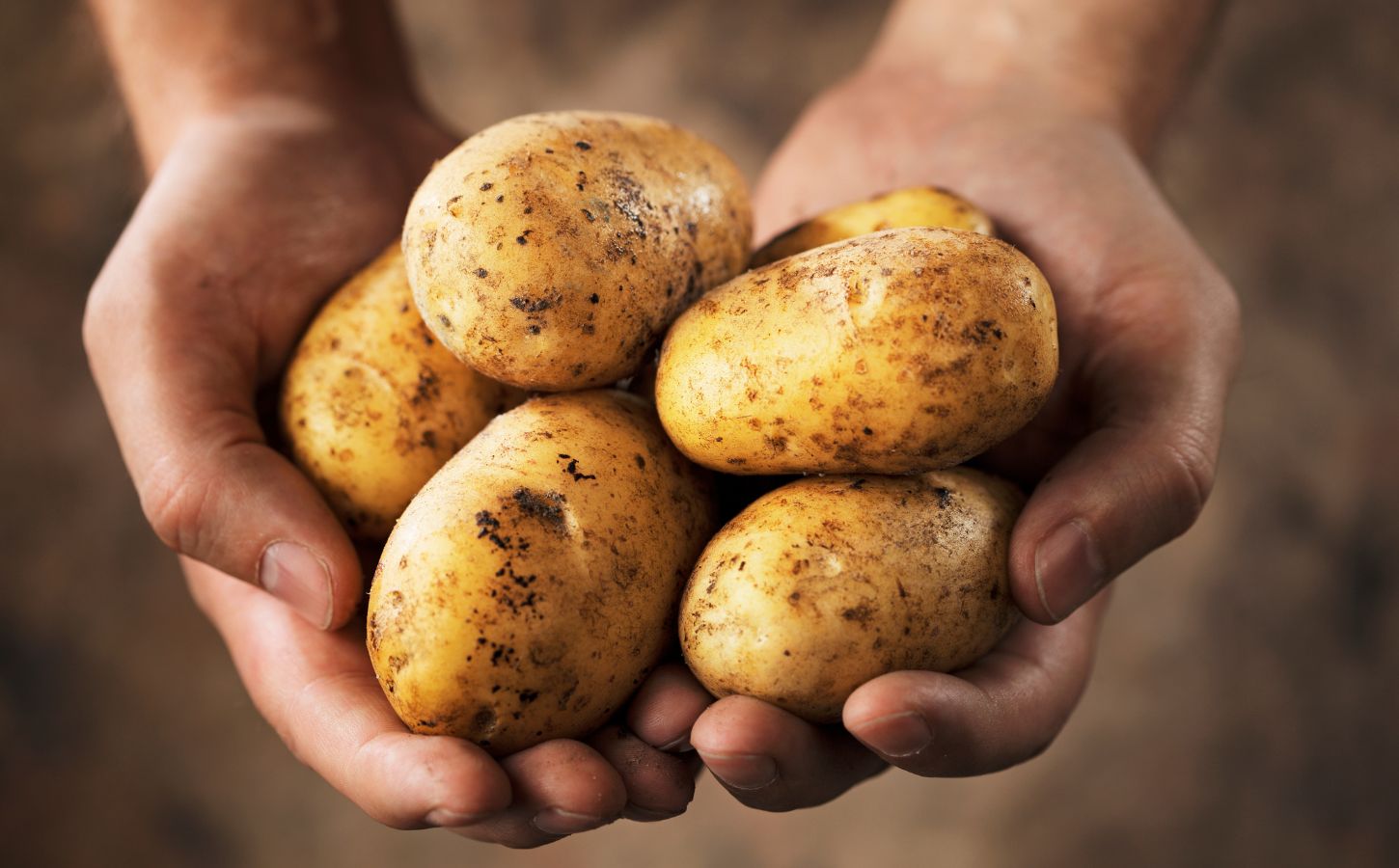 Photo shows someone holding five medium-sized potatoes in their two cupped hands