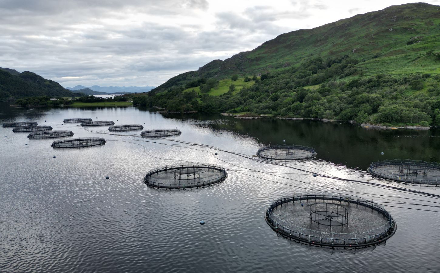 A salmon farm in a body of water in Scotland