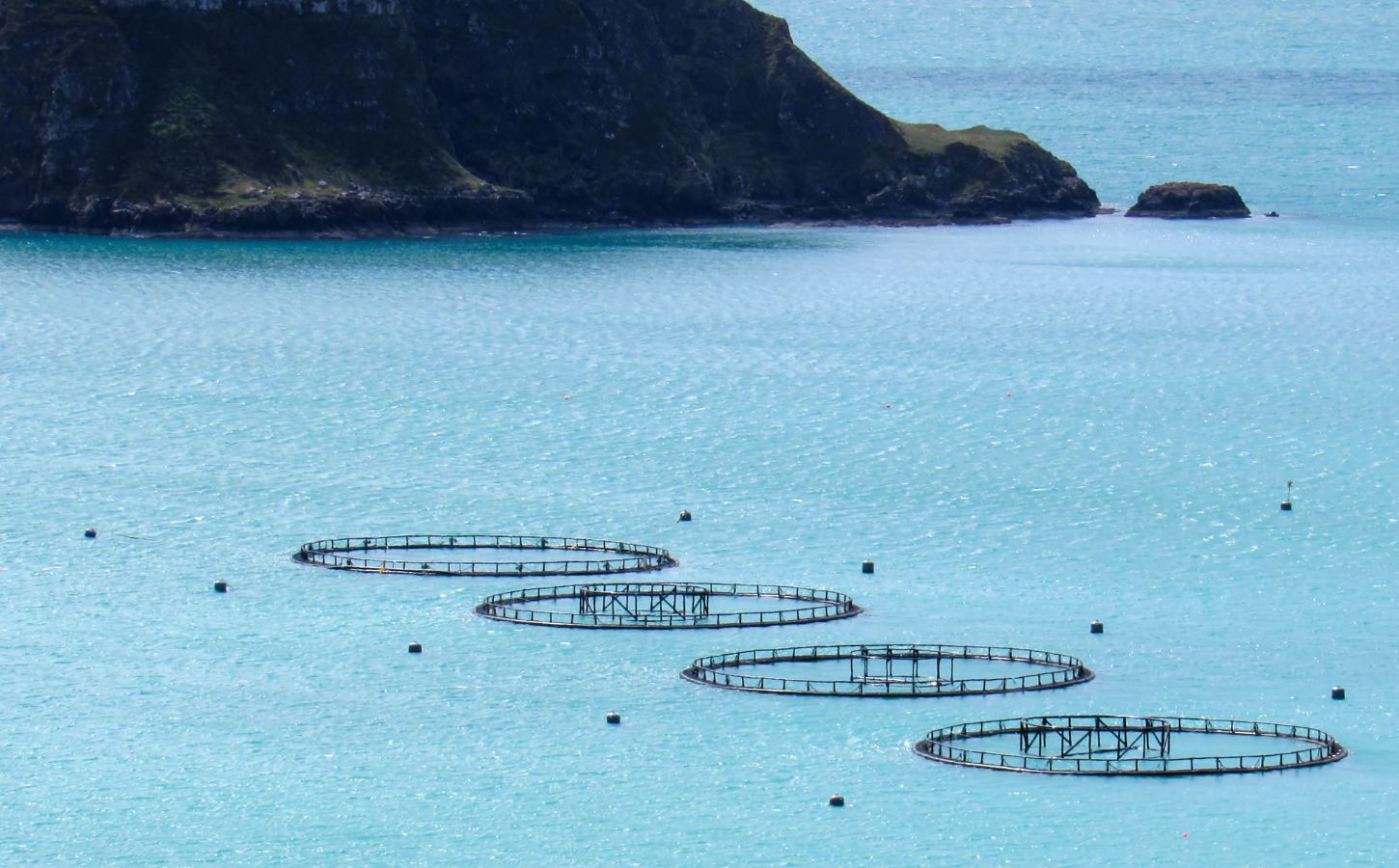 An aerial shot of a salmon farm in Scotland