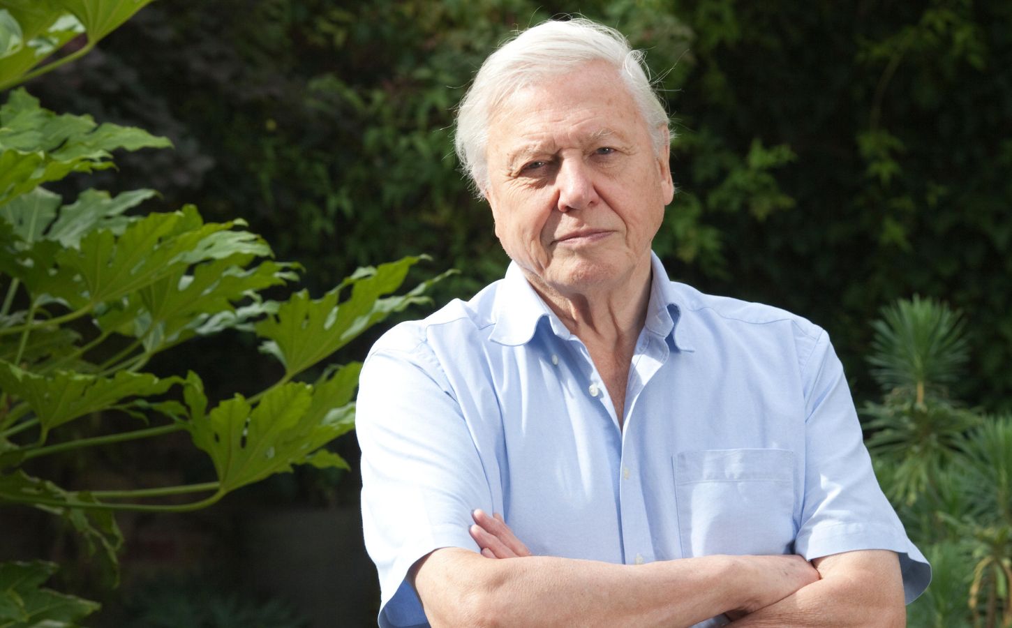 Environmentalist Sir David Attenborough