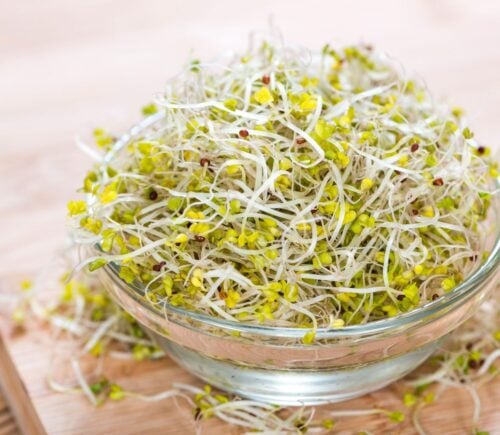 A bowl of broccoli sprouts