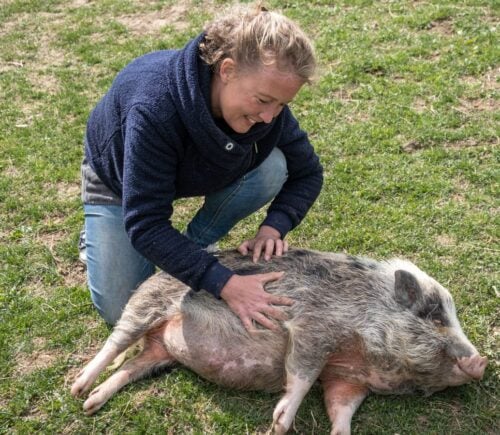 Sarah Heiligtag, a vegan who transforms farms, stroking a pig on the grass