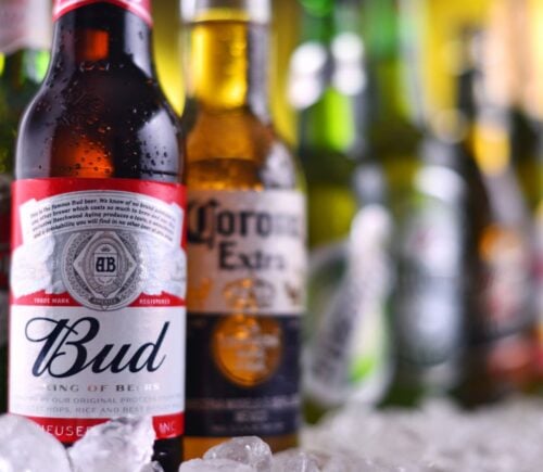 Photo shows a row of beers on ice, including three bottles closest to the camera. They are, from left to right, Stella Artois, Budweiser, and Corona.