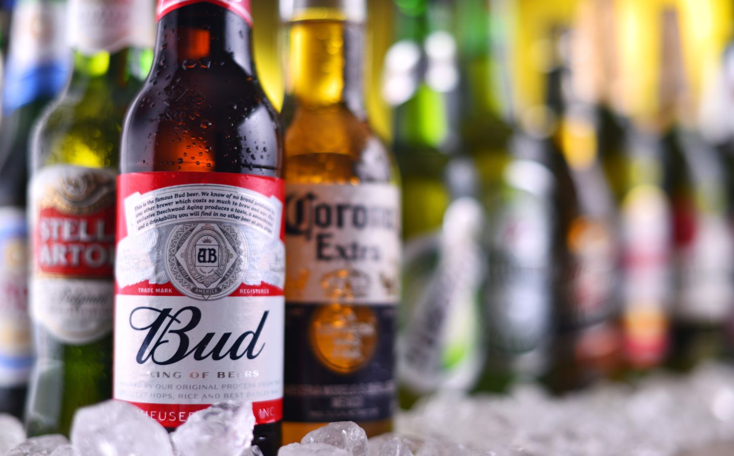 Photo shows a row of beers on ice, including three bottles closest to the camera. They are, from left to right, Stella Artois, Budweiser, and Corona.