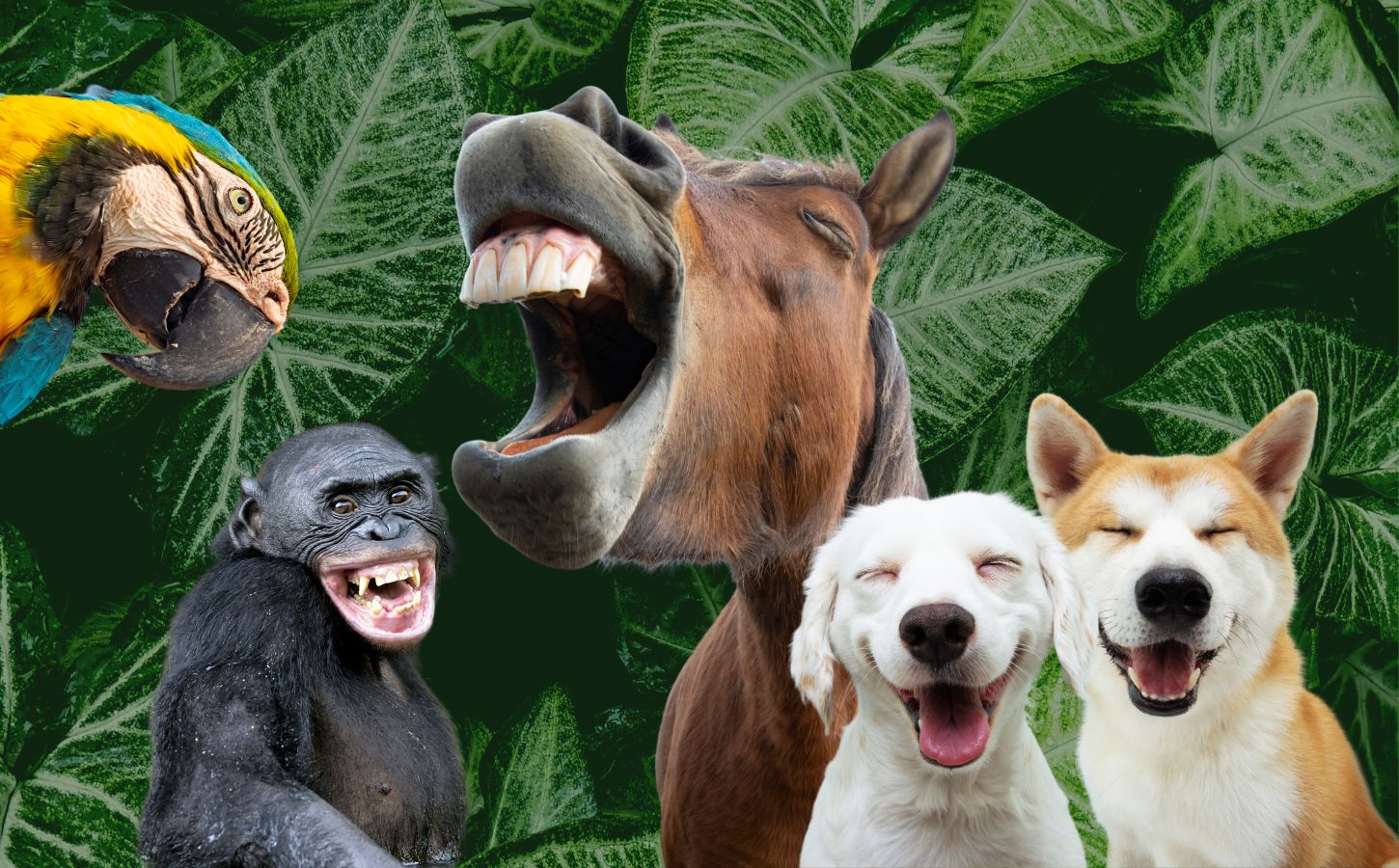 A parrot, primate, horse, and dogs laughing in front of a leafy background