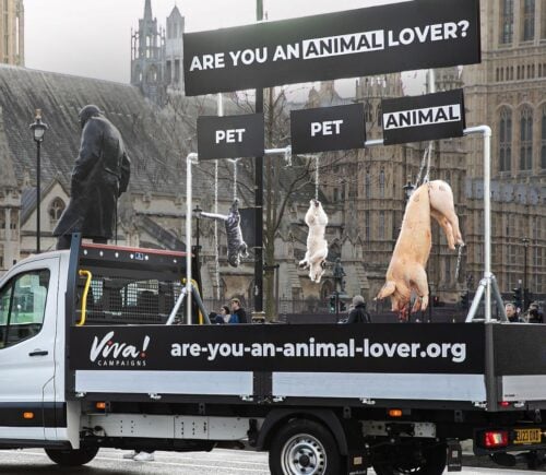 Viva! stunt with dead animals displayed on a truck in London