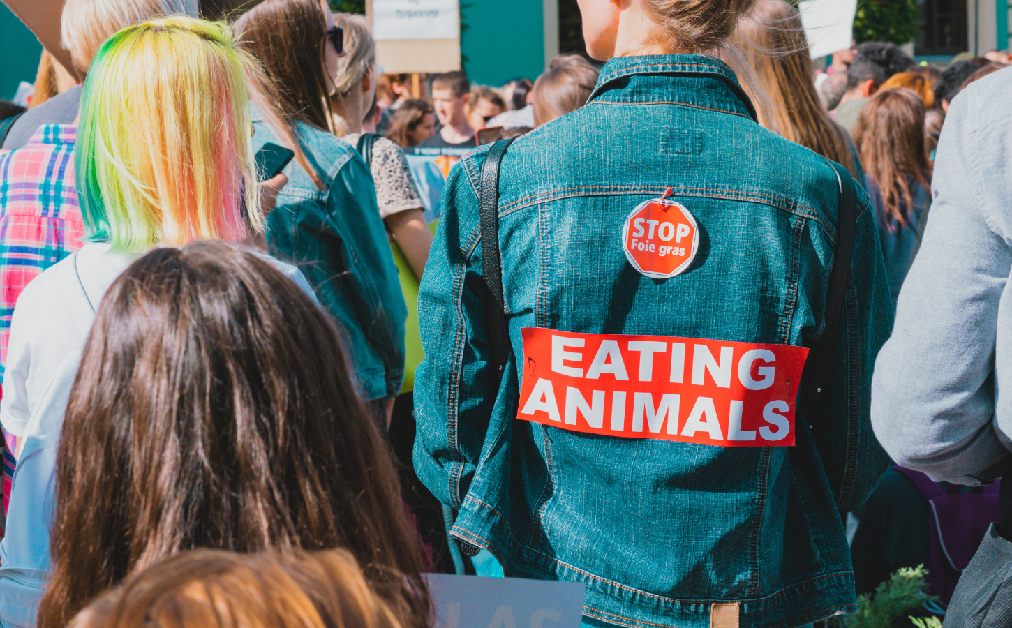 A group of people at a protest, one of whom wears a denim jacket with a "stop eating animals" sign on it